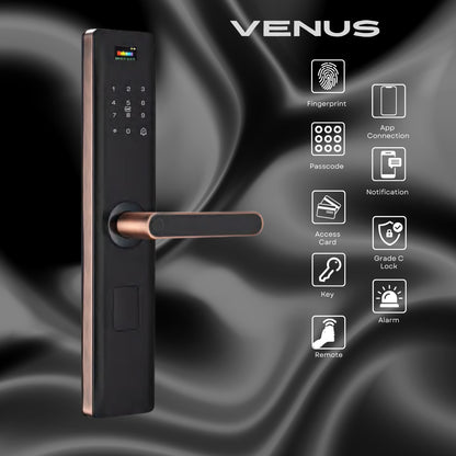 VENUS